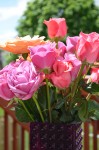 Adalyn's Mother's Day Flowers